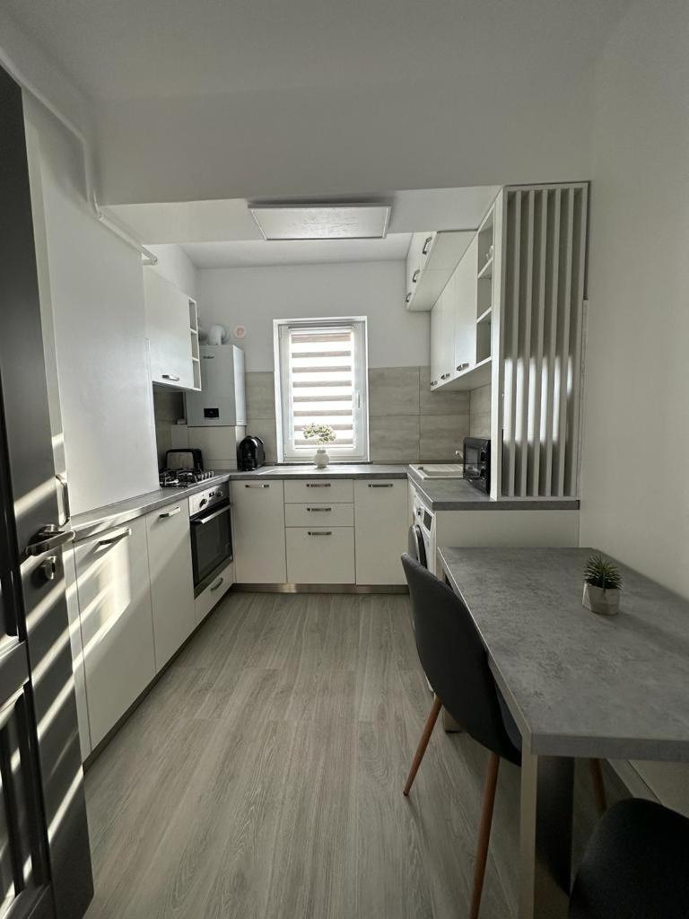 Cozy Studios In Suceava Exteriör bild