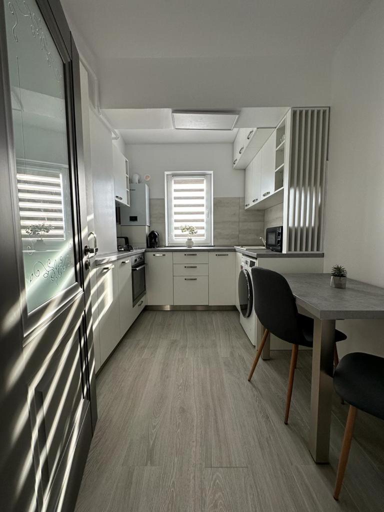 Cozy Studios In Suceava Exteriör bild