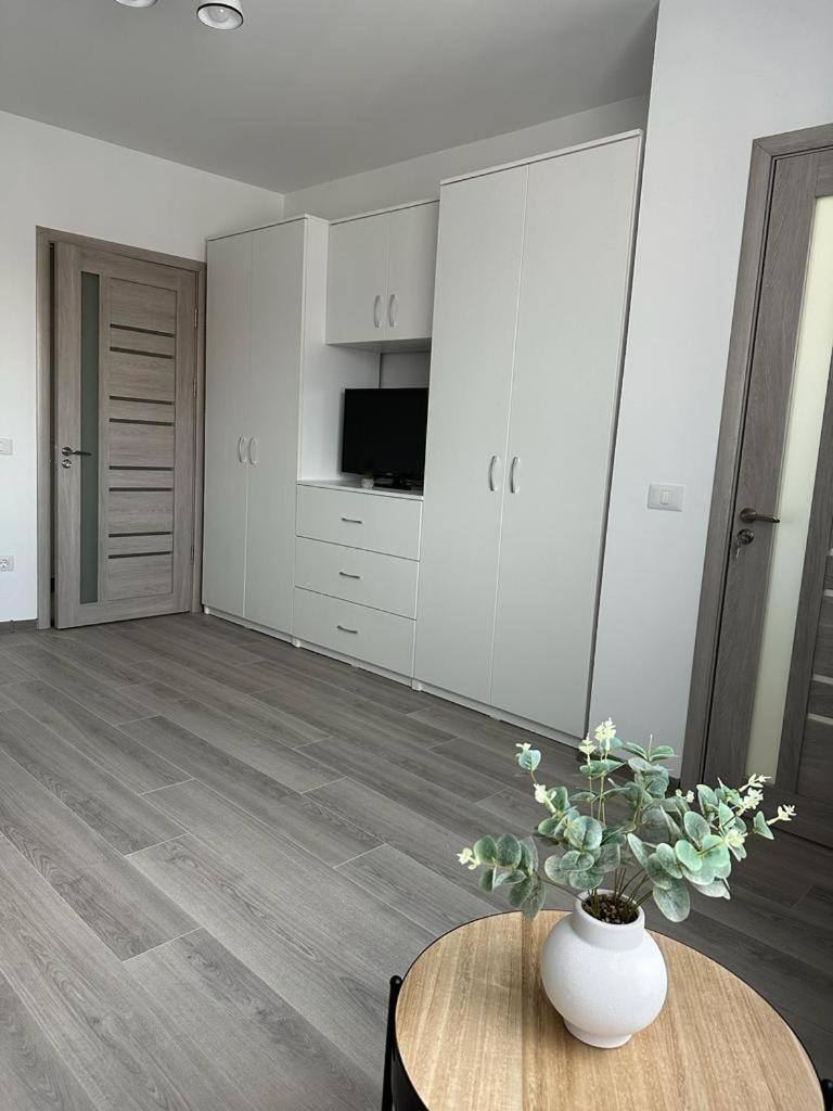 Cozy Studios In Suceava Exteriör bild