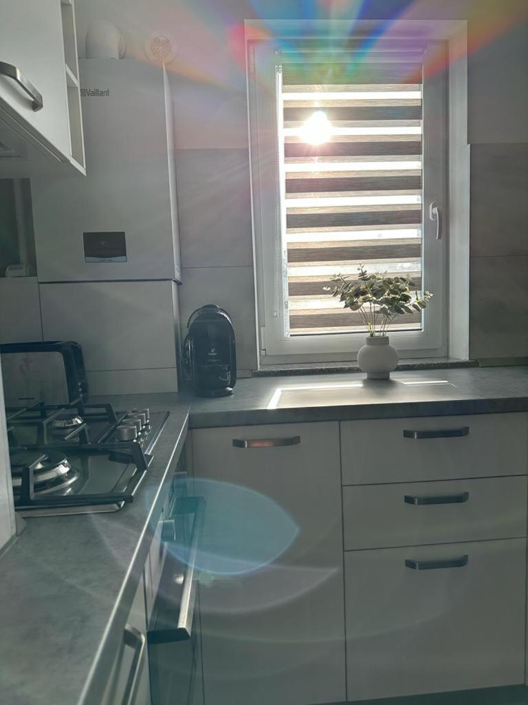 Cozy Studios In Suceava Exteriör bild