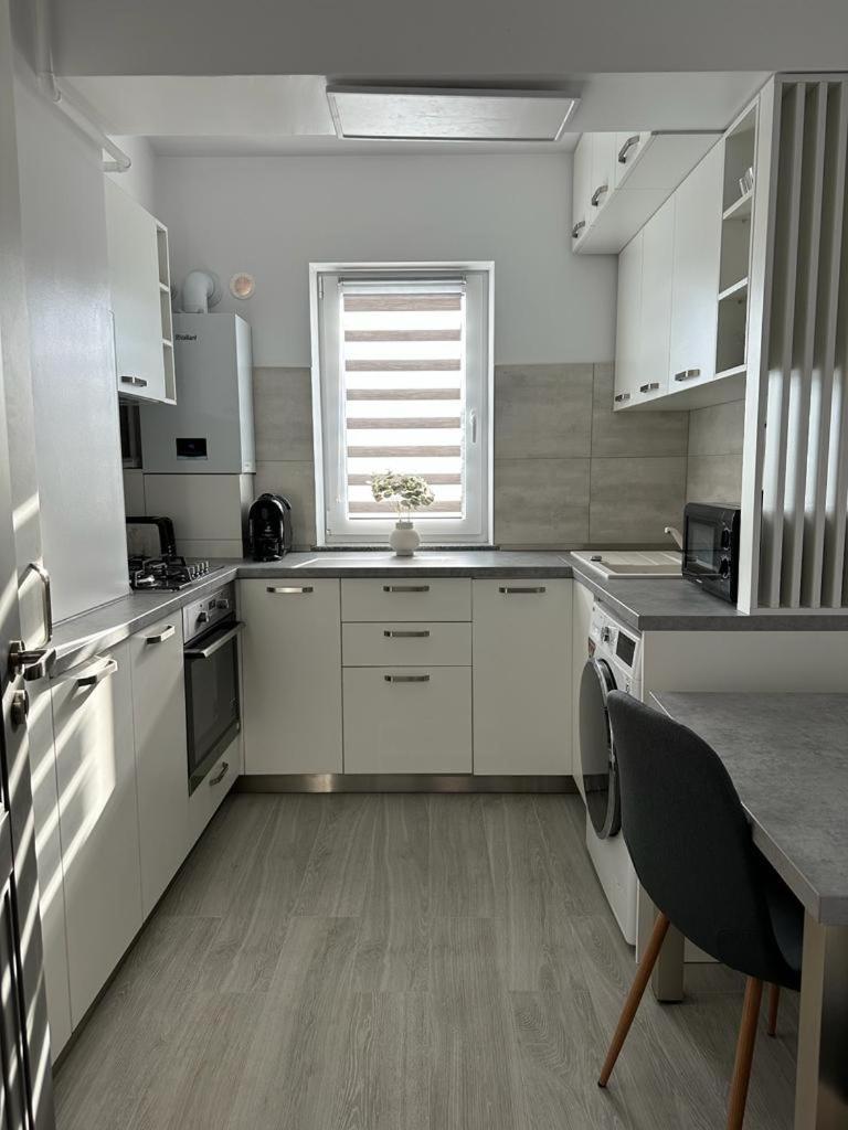 Cozy Studios In Suceava Exteriör bild