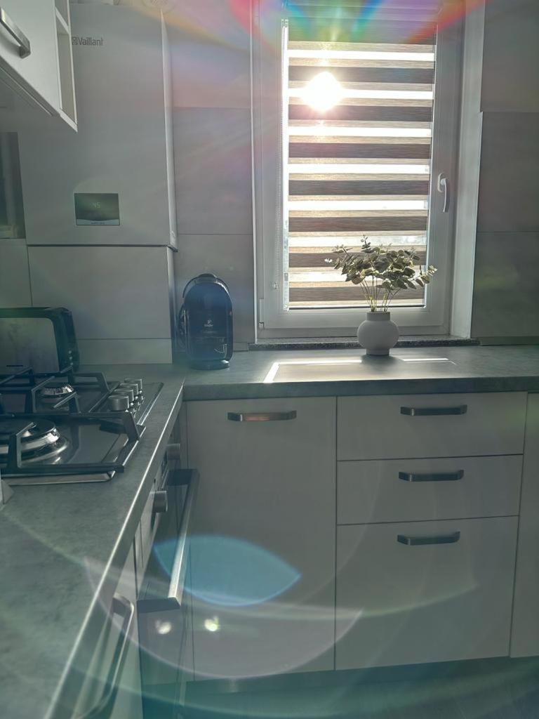 Cozy Studios In Suceava Exteriör bild
