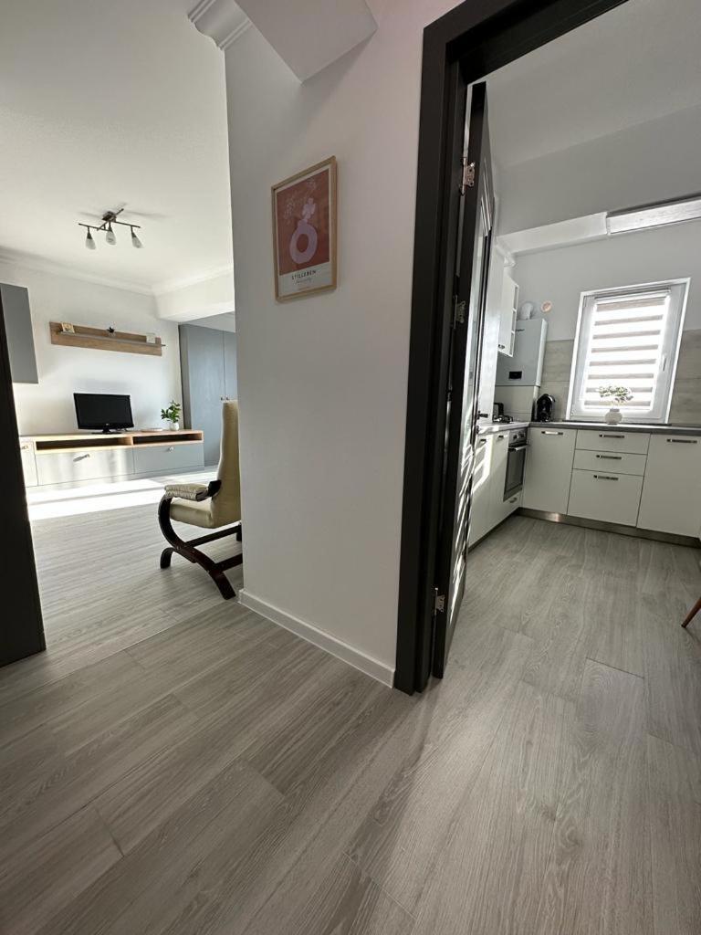 Cozy Studios In Suceava Exteriör bild