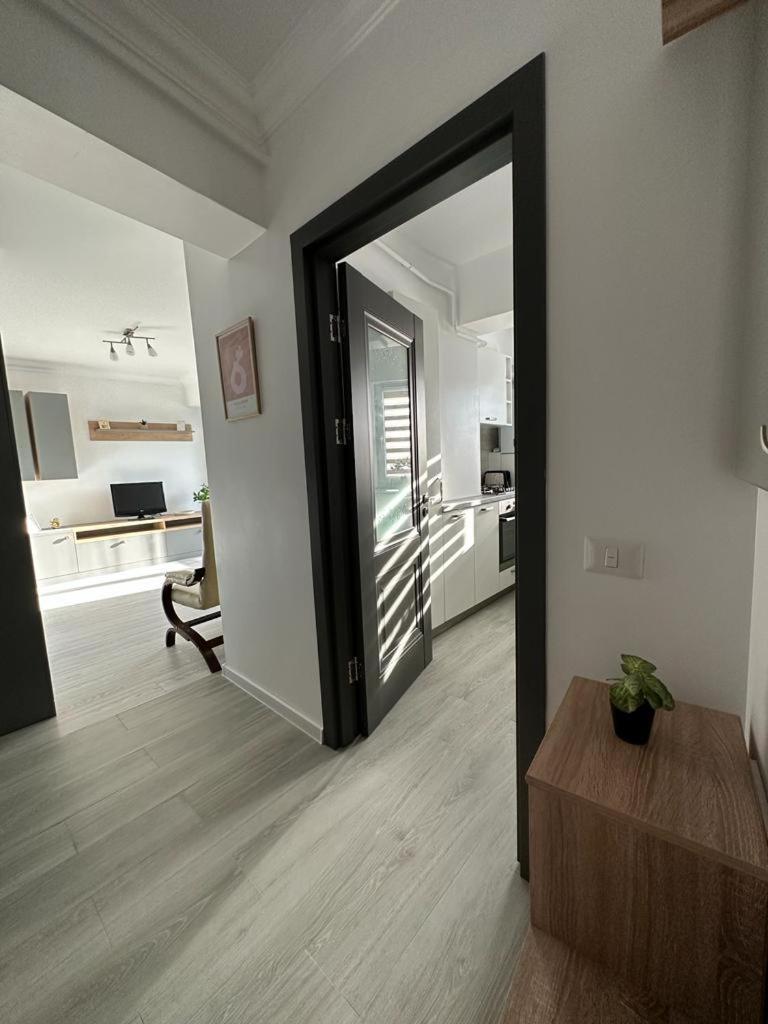 Cozy Studios In Suceava Exteriör bild